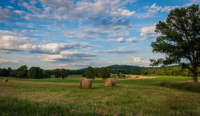 Beautiful summer afternoon county setting with freshly rolled bales of hay near large tree