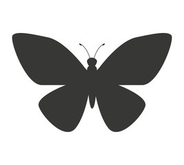 beautiful butterfly silhoeutte icon