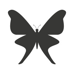 beautiful butterfly silhoeutte icon