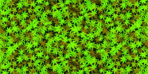 もみじ　葉　夏　背景