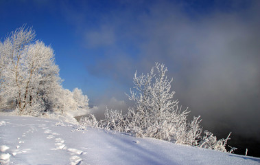 winter morning on the river