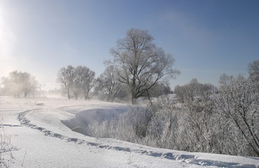 winter landscape