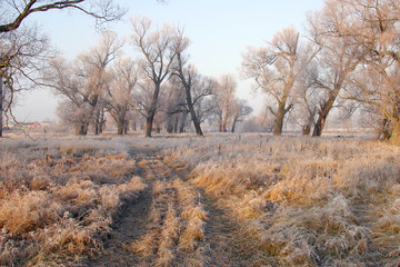 The arrival of winter