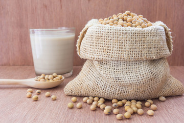 Soybean in hemp sack bag with soymilk in glass setup on wooden table.