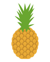 flat design whole pineapple icon vector illustration