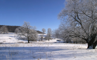 winter landscape