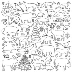 Naklejka premium Doodle Forest Animals