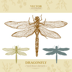 Dragonfly collection vintage style