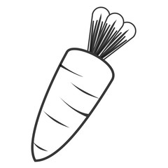 flat design whole carrot icon vector illustration