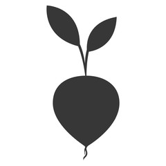 flat design whole beet icon vector illustration