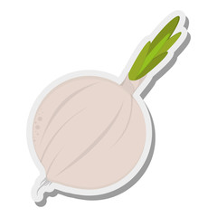 flat design whole garlic icon vector illustration