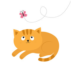Cute red lying orange cat and looking at flying pink butterfly. Dash line track. Mustache whisker. Funny cartoon character. Flat design.