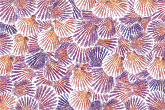 Abstract pastel painting of seashells
