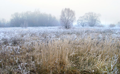 autumn fog