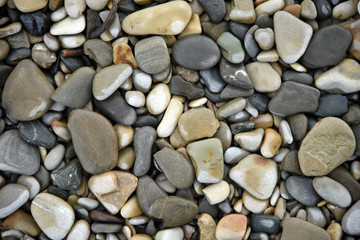 Stone pebble background texture