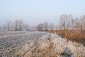 The arrival of winter
