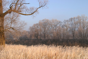 The arrival of winter