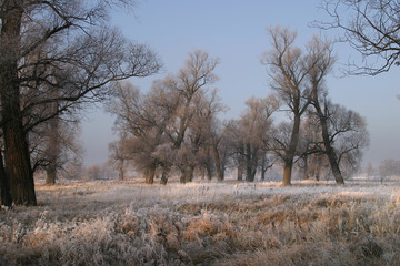 The arrival of winter