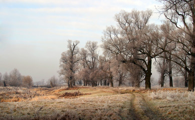 Obraz premium The arrival of winter