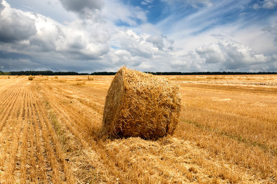 hay stack with dramatic sky