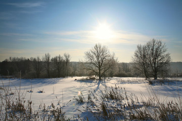 winter landscape