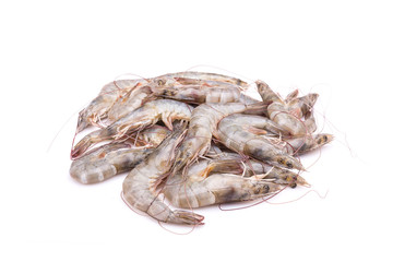Fresh shrimp isolated on white background