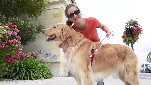 Blind woman petting her guide dog