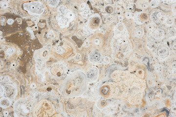 Texture of natural stone (Travertine) for background design