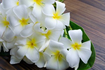 A group of white plumeria flora with green leaf on wooden ground