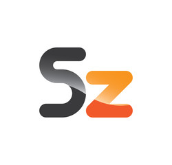 5z initial grey and orange with shine