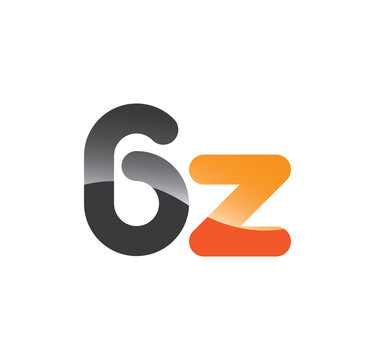 6z initial grey and orange with shine