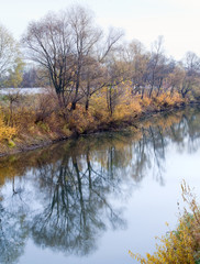 Obraz premium grove in autumn