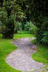 Fototapeta na wymiar Stone Paved Path in a Tropical Garden