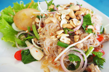 Mung Bean Noodle Spicy Salad