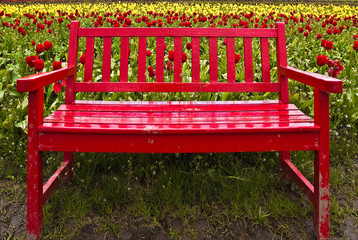 Red Bench with Tulips