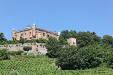 Fototapeta na wymiar Castle of Montmelas in Beaujolais, France 