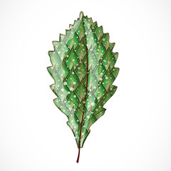 Abstract colorful leaf. Illustration 10 version