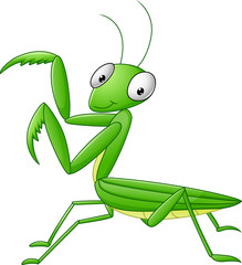 Praying mantis grasshopper cartoon