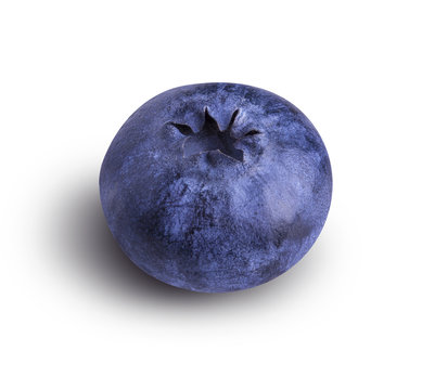 Fresh Bilberries blueberries, isolated on white