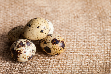 Quail eggs on sackcloth