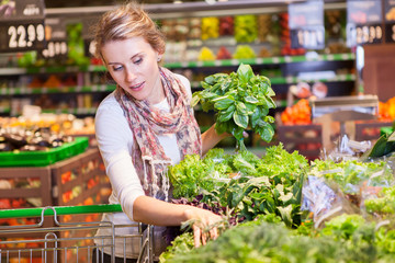 Portrait of beautiful young woman choosing green leafy vegetable