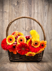 Fototapeta na wymiar Colorful daisy flowers in the wicker on wooden background