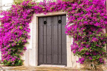 beautiful boungavilla at greek door