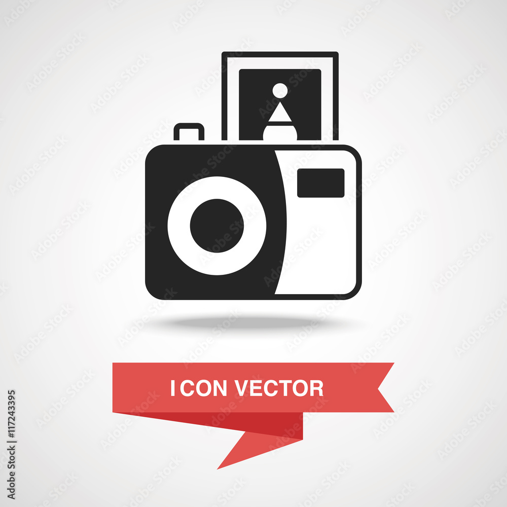 Wall mural camera icon