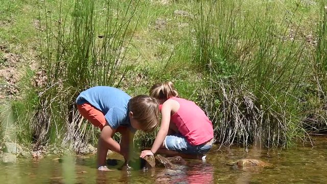 Happy litle kids in river fishing tadpoles