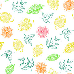Lime, lemon and orange slices seamless pattern. Hand drawn in ink fruit background. White back.