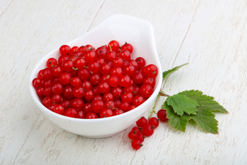 Red currants