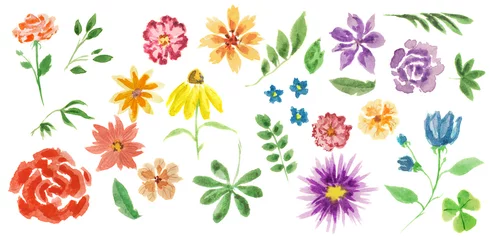 Glasschilderij Tropische planten Aquarel bloemen instellen. Elegante schilderkunstige bloemen op witte achtergrond voor decoratie, feest en meer. Zomerflora.