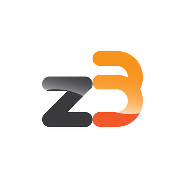 z3 initial grey and orange with shine