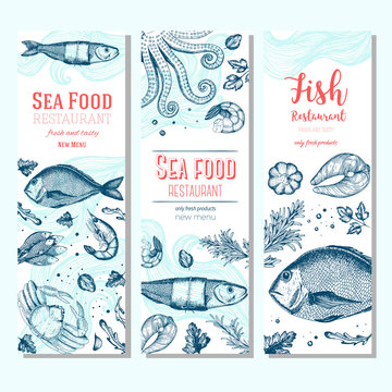 Seafood vintage design template. Vertical banners set. Vector illustration hand drawn linear art. Fish and seafood restaurant menu